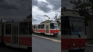 PILSEN  Celebration tram 🚋 near Borský park  4K trams [upl. by Petrine]