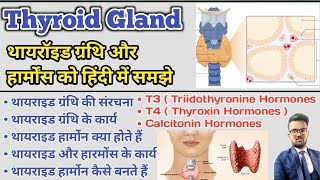 Thyroid Gland in hindi  Thyroid Hormones  T3  T4  Thyroxin Hormones  Thyroid Profile Test [upl. by Ardnama]