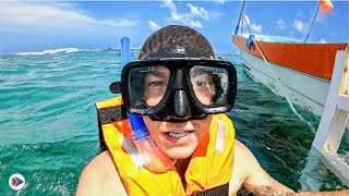 First Time Snorkeling Best Spot To Go In Mexico [upl. by Sutsugua]