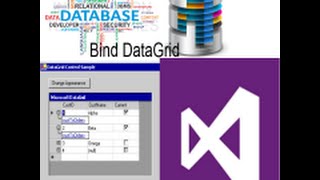 How to Bind dataGridview in winform c [upl. by Netta]