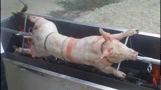 Cochon de 43 Kg [upl. by Etteloc]