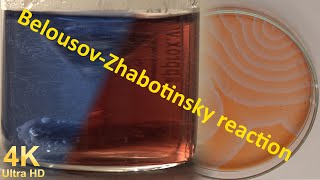 Everything about the Belousov Zhabotinsky reaction [upl. by Tamsky389]