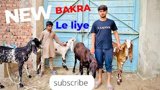 Alhumdulilah Qurbani Agye Andy mn se Chuza nikal aya Gaali Mein Dehaat  New Vlog [upl. by Asiralc]