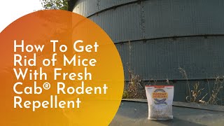 How To Get Rid of Mice With Fresh Cab Rodent Repellent [upl. by Harutak]