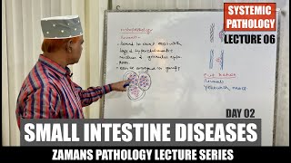 Systemic Pathology Lecture 06  Small Intestine Diseases  Day 02 [upl. by Agnizn]