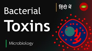 Bacterial Toxin in Hindi  Exotoxin  Endotoxin  Microbiology in Hindi  Basic Science Series [upl. by Mccandless]