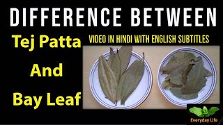 Difference bwTej Patta and Bay Leaf  Tej Patta Vs Bay Leaf  तेज पत्ता  Everyday Life 34 [upl. by Lenoil]