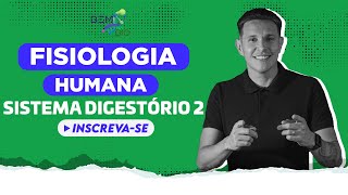 Fisiologia Humana  Sistema Digestório 2 [upl. by Berfield]