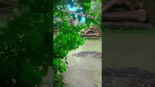 music song long sad 😢🥶☔🌊 gaav me barish hota hai esa please subscribe [upl. by Ettelrac52]