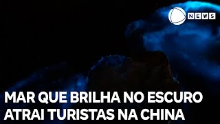 Turistas brincam em mar que brilha no escuro na China [upl. by Sax]