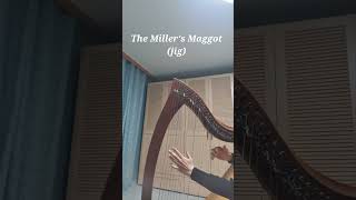 켈틱하프  The Millers Maggot jig [upl. by Lerej]