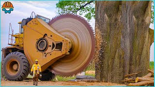 150 Fastest Big Chainsaw Cutting Tree Machines Skills  Tree Felling Climbing With Chainsaw [upl. by Ray]