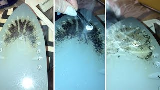 Mum Reveals Amazing Hack By Cleaning Dirty Iron With Paracetamol [upl. by Atthia]