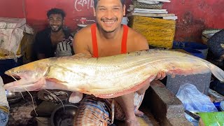 Unbelievable Giant Monster Wallago Attu Boal Fish Cutting in Bangladesh Fish Market at Knife [upl. by Anitsrik478]