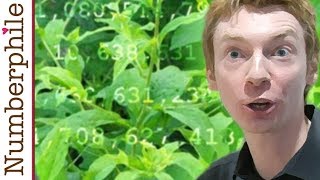 Primes are like Weeds PNT  Numberphile [upl. by Devy]