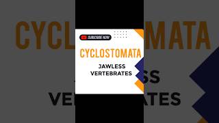 CYCLOSTOMATA JAWLESS VERTEBRATES [upl. by Folly]