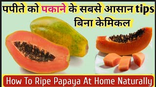 कच्चे पपीते को पकाने का सबसे आसान तरीकाPapaya ripeningRaw papaya ko pakane ke Tipsपपीता को पकाना [upl. by Zamora667]