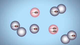 Droplet Digital PCR for Food Testing [upl. by Gerome]