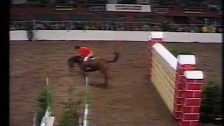 Graham Fletcher  Double Brandy  Puissance HOYS 1977 [upl. by Netsrak168]