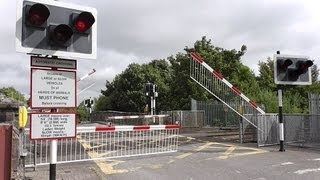 Level Crossing  Blakestown  29000 Class Commuter Train [upl. by Koa]