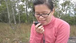 HowTo Set up an HF portable radio while hiking [upl. by Kore670]