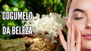 Benefícios do Cogumelo Tremella para uma Pele Jovem e Saudável 🍄✨ [upl. by Euh]