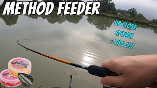 Autumn Method Feeder Fishing for Carp  UP CLOSE VIDEO FOOTAGE  TIPS [upl. by Attenna]