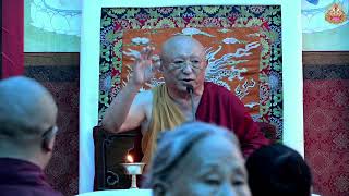 DGV Day 8  Teaching by HE Chokyi Nyima Rinpoche  Summer Course  2024 [upl. by Ellinnet959]