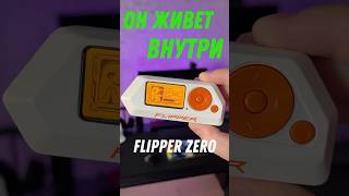 Он живет внутри Flipper Zero [upl. by Aubarta]