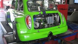 Dyno a Mini Cooper w B16 Turbo Motor  Garage Yourself Miami FL [upl. by Vanthe509]