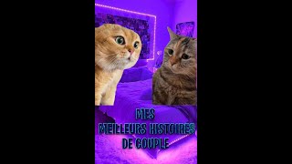 Histoires 2 Chats  Mes MEILLEURS HISTOIRES de COUPLES [upl. by Cousin737]