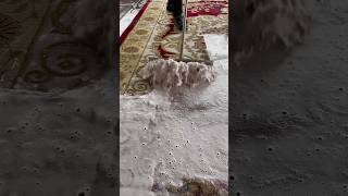 Foam scraping 339satisfying asmr carpetcleganin Newaladdin shorts [upl. by Westhead]