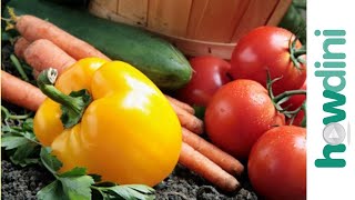 Organic gardening How to grow an organic vegetable garden [upl. by Pesek676]