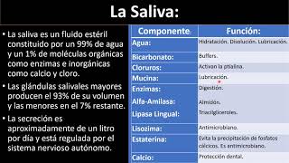 Componentes de la saliva [upl. by Gupta]