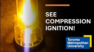 Test for Engine SparkIgnition  Simple amp Comprehensive How To [upl. by Marlow174]