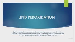 Lipid Peroxidation [upl. by Eenahpets145]