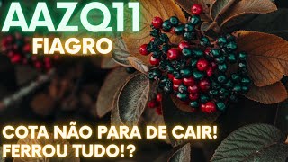 ATUALIZAÇÃO QUENTE Fiagro AAZQ11 dividendos DEZEMBRO e relatorio NOVEMBRO 23 Vale a pena [upl. by Adabel941]