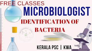 IDENTIFICATION OF BACTERIA  Microbiologist Exam keralawaterauthority kpsc Bacteriologist [upl. by Tenn]