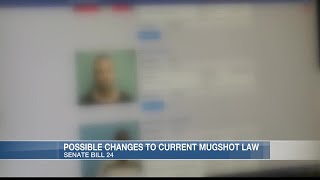 Louisiana lawmakers consider allowing all mugshots to be made public again reversing 2022 change [upl. by Boggs]