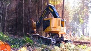 Feller Buncher Tigercat L830C [upl. by Blinnie]