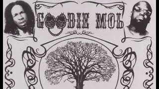 Goodie Mob  Black Ice Sky High ft Outkast [upl. by Hyacinth]