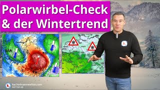 Stark gestörter Polarwirbel Luftmassengrenze und Wintertrend [upl. by Guntar]