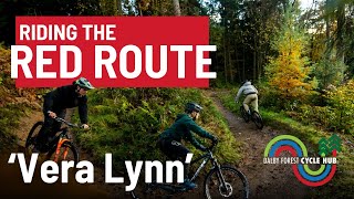 Mountain Biking In Dalby Forest Red Route  Vera Lynn [upl. by Yenaled]