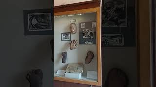 اشهر الجرايم في مصر الحكايات اكسبلور travel museum متععقلك egyptianculture قصة art [upl. by Guinevere]