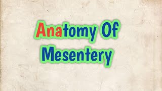 Anatomy of Mesentery l abhishekghoolibmcri [upl. by Stirling]