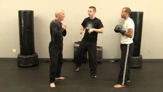 Beginner Krav Maga Level 1Yellow Belt Class Review  MiniTest [upl. by Kolk]