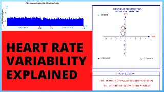 Heart Rate Variability Explained [upl. by Hyatt]