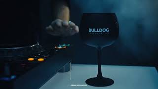 Liquid Beats Bulldog Gin x C2C Festival [upl. by Adnahcir92]