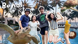 Bohol Vlog 15년 만의 해외 가족여행 to 보홀 🐬🐢⛱ [upl. by Delanos]