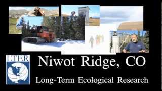 The Niwot Ridge LTER Program [upl. by Ahsiliw814]